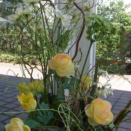 ホテル Am Tierpark ゴータ